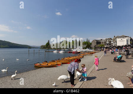 Lake Windermere 12. Mai 2016 UK Wetter. Sonnigen Tag am Lake Windermere in Bowness Bay Credit: Gordon Shoosmith/Alamy Live News Stockfoto