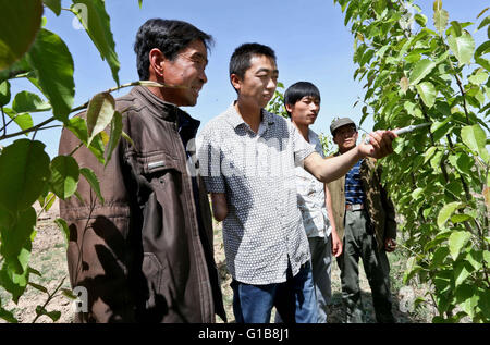 Zhangye, Zhangye, CHN. 10. Mai 2016. Zhangye, China - 10. Mai 2016: (Nur zur redaktionellen Verwendung. CHINA aus) Zhou Dong, Jahrgang 1985, Zhangye Gansu, seinen rechten Arm verloren, wegen eines Unfalls. Aber er gab nicht auf sein Leben. Zunächst eröffnete er ein Kleidungsstück-Geschäft. Er beginnt, auf Außenwerbung in Dörfern mit 12 Jugendlichen arbeiten und bekomme 500000 Yuan pro Jahr. Wann findet er Zucht boom wird er landwirtschaftliche Genossenschaft, die Herstellung von 1000 Rinder und Schafe 2000 jedes Jahr aufgebaut und viele behinderte Männer zur Pflanze und Rasse. © SIPA Asien/ZUMA Draht/Alamy Live-Nachrichten Stockfoto