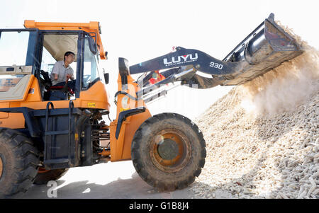 Zhangye, Zhangye, CHN. 10. Mai 2016. Zhangye, China - 10. Mai 2016: (Nur zur redaktionellen Verwendung. CHINA aus) Zhou Dong, Jahrgang 1985, Zhangye Gansu, seinen rechten Arm verloren, wegen eines Unfalls. Aber er gab nicht auf sein Leben. Zunächst eröffnete er ein Kleidungsstück-Geschäft. Er beginnt, auf Außenwerbung in Dörfern mit 12 Jugendlichen arbeiten und bekomme 500000 Yuan pro Jahr. Wann findet er Zucht boom wird er landwirtschaftliche Genossenschaft, die Herstellung von 1000 Rinder und Schafe 2000 jedes Jahr aufgebaut und viele behinderte Männer zur Pflanze und Rasse. © SIPA Asien/ZUMA Draht/Alamy Live-Nachrichten Stockfoto