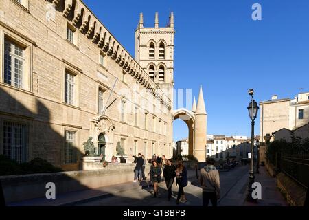 Frankreich, Herault, Montpellier, historisches Zentrum, Stadtteil Ecusson, die medizinische Fakultät und die Saint-Pierre-Kathedrale aus dem 16. Jahrhundert Stockfoto