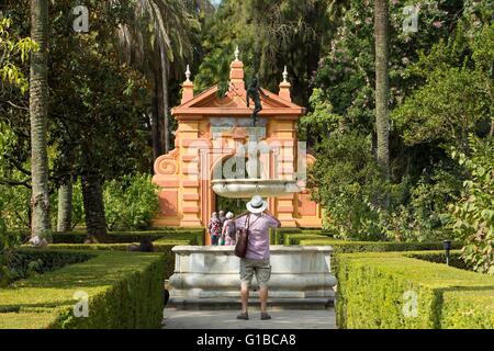 Spanien, Andalusien, Sevilla, die Alacazar (Reales Alcazares de Sevilla), Weltkulturerbe der UNESCO, der Alcazar Gärten, den Garten der Frauen Stockfoto