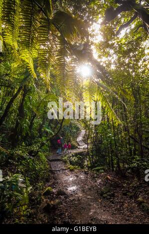 Frankreich, Guadeloupe (Französische Antillen), Basse-Terre, Saint-Claude, La Soufriere, den Spitznamen der Vie Madanm auf Guadeloupe Kreolisch oder die alte Dame in Französisch, ist ein aktiver Vulkan befindet sich im Nationalpark Stockfoto