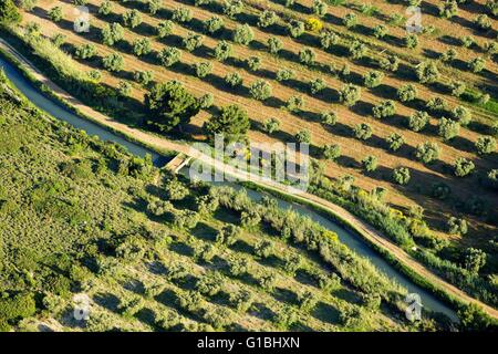 Bouches-du-Rhône, Frankreich, den regionalen Naturpark der Alpilles, Aureille, Canal De La Vallée des Baux Olive (Luftbild) Stockfoto