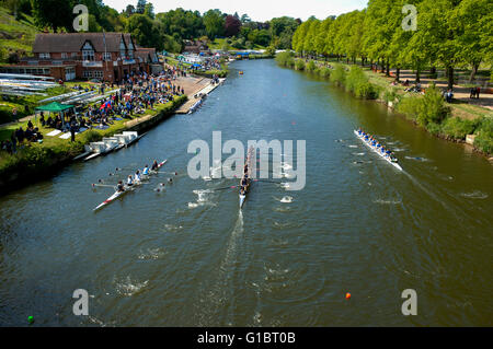 Ruderboote auf den Fluss Severn während der Regatta von Shrewsbury, Shropshire, England. Stockfoto