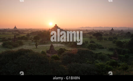 Sonnenaufgang über der Dhammayangyi Tempel in Bagan, Myanmar Stockfoto