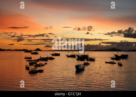 Sonnenuntergang mit Booten Labuan Bajo Hafen Flores Indonesien Stockfoto