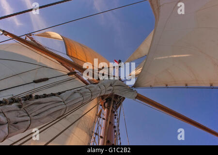 Fockmast und Segel die Tall ship Amphitrite Stockfoto