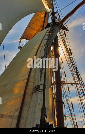 Fockmast und Segel die Tall ship Amphitrite Stockfoto