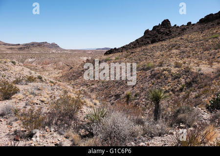 Big Bend Nationalpark von Maultier Ohren Overlook Castolon unterwegs. Mule Ohren Brunnenweg durchquert den Talboden führt zu vo Stockfoto