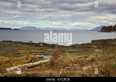 Alaska-Blick vom Totem Bight State Historical Park, in der Nähe von Ketchikan, USA Stockfoto