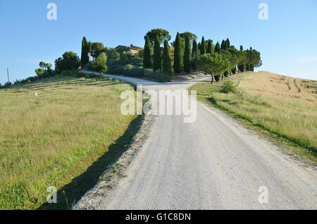 Am frühen Morgen in der Toskana, Italien Stockfoto