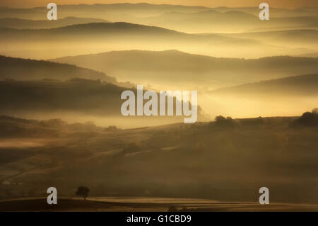 Morgen-Landschaft mit Sonnenlicht Leuchten im Nebel Stockfoto