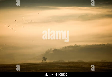 Landschaft mit Nebel zwischen Hügeln am Morgen Stockfoto