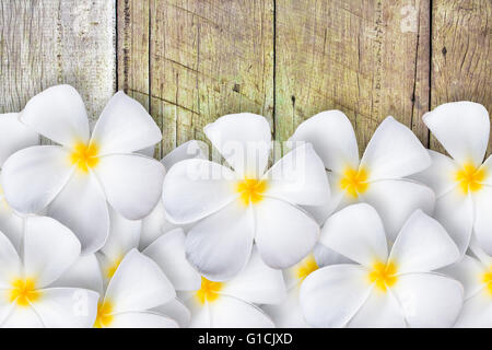 Frangipani Blume auf Holzboden, Design für Hintergrund Stockfoto