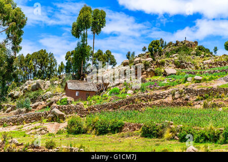 Blick auf die Hügel am Insel Taquile im Titicacasee nahe Stadt Puno, Peru Stockfoto