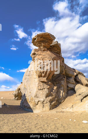 Felsformation im Reserva Nacional De Fauna Andina Edina Eduardo Avaroa Potasi, Bolivien Stockfoto