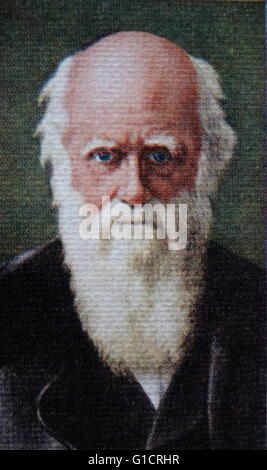 Charles Robert Darwin 1809-1882. Englische Naturforscher und Geologe; am besten bekannt für seine Beiträge zur Evolutionstheorie Stockfoto