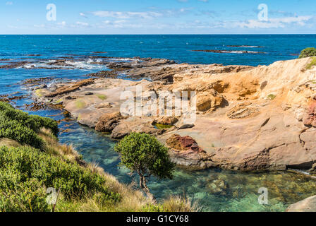 New Zealand bunte Küste Landschaft mit Robben in Otago Region Südinsel Neuseeland Stockfoto