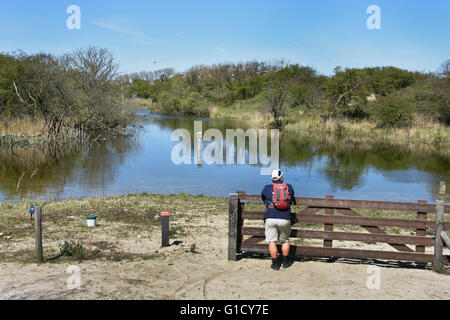 See in den Dünen zwischen Den Haag (Scheveningen) - Wassenaar Niederlande Niederländische Dünen Meer Strand Sand Küste definiert Stockfoto
