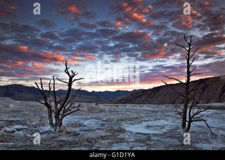 WY01705-00... WYOMING - Sonnenaufgang von den oberen Terrassen der Mammoth Hot Springs im Yellowstone-Nationalpark. Stockfoto