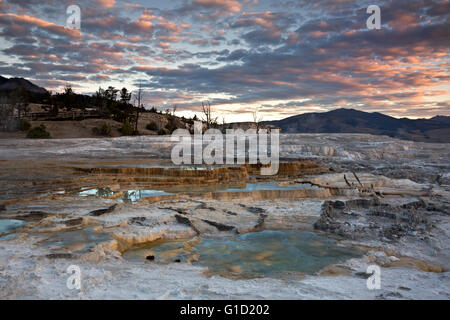 WYOMING - Wolken reflektiert in den Sprudel-Becken bei Sonnenaufgang auf den oberen Terrassen von Mammoth Hot Springs im Yellowstone NP. Stockfoto