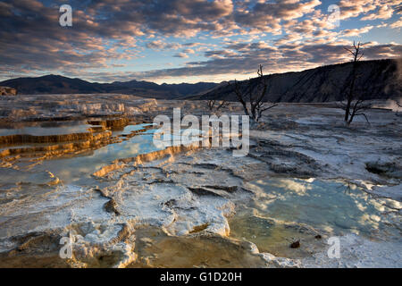 WYOMING - Wolken reflektiert in den Sprudel-Becken bei Sonnenaufgang auf den oberen Terrassen von Mammoth Hot Springs im Yellowstone NP. Stockfoto