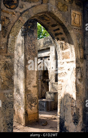 Gedi Ruinen, Malindi Kenia Stockfoto