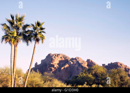 Camelback Mountain, Tal Canyon Resort Zielgebiet, Phoenix, AZ, USA Stockfoto
