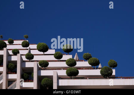 Bäume wachsen auf den Balkonen und den Terrassen Suiten Dan Hotels in Eilat ein Resort Stadt an der nördlichen Spitze des Roten Meeres, am Golf von Aqaba. Israel Stockfoto