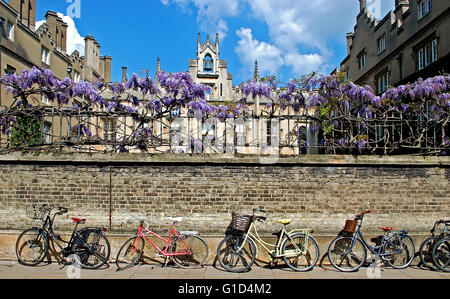 Fahrräder an der Wand außerhalb Sidney Sussex College der Universität Cambridge Stockfoto