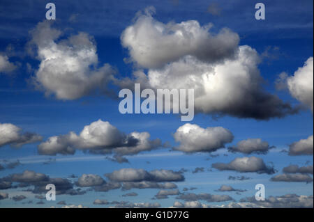 Cumulus-Wolken am blauen Himmel über Bawdsey und Alderton, Suffolk, England, UK Stockfoto