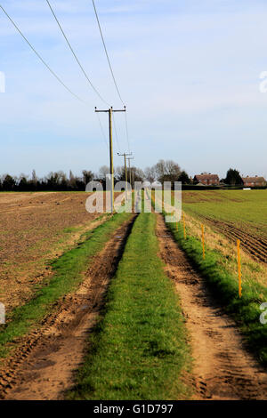 Telegrafenmasten mit Strom Strom, Kabel und Weg durch Felder Alderton, Suffolk, England, UK Stockfoto