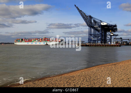 COSCO shipping Line-Containerschiff Ankunft am Hafen von Felixstowe, Suffolk, England, UK Stockfoto