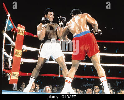 When We Were Kings / Muhammed Ali / George Foreman / Boxkampf / Muhammad Ali, Stockfoto