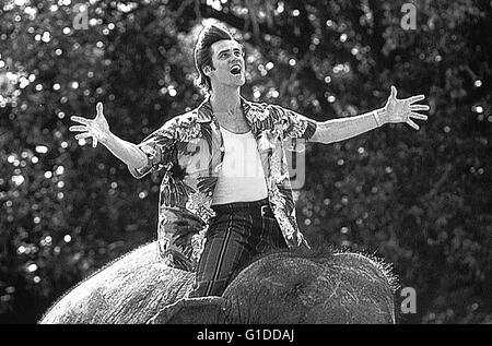 Ace Ventura - Jetzt wird's wild / Jim Carrey Stockfoto