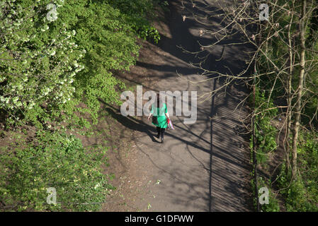 Junge Frau, die zu Fuß in Kelvingrove Park geschossen von oben an einem sonnigen Tag Kelvingrove Park, Stockfoto