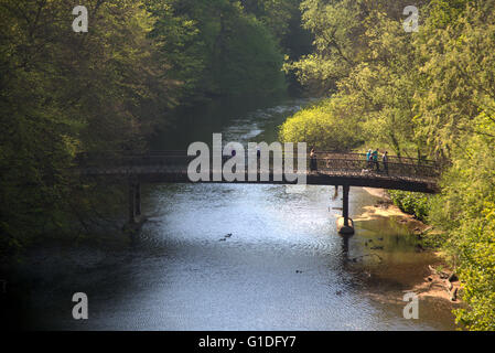 Menschen zu Fuß Brücke über den Fluss Kelvin von der Queen Margaret Drive Brücke an einem sonnigen Sommertag im Kelvingrove Park, Glasgow, Schottland, Großbritannien. Stockfoto