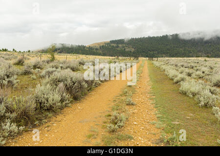 Alte Schmutz der Straße auf einer Ranch in Montana Stockfoto