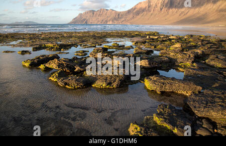 Lanzarote, Kanarische Inseln, SpainLate am Nachmittag Licht auf Strand und Klippen La Caleta de Famara, Lanzarote, Kanarische Inseln, Spanien Stockfoto