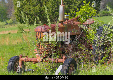 alte rote Bauernhof Traktor sitzen in einem bewachsenen Feld Stockfoto