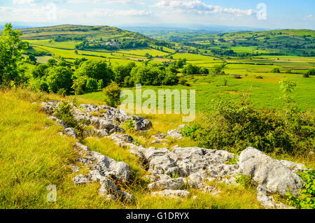 Blick vom Hutton Dach Klippen Cumbria in Richtung Farleton Fell und fernen Lakeland fells Stockfoto