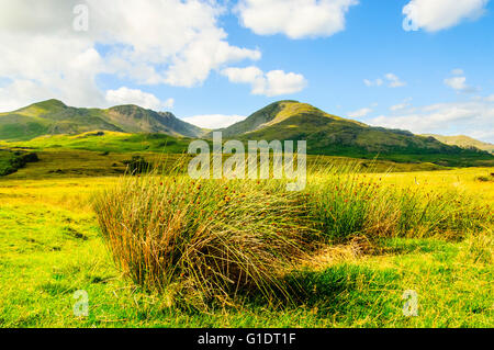 Dow Crag und Coniston Greis von Torver High Common im Lake District Stockfoto