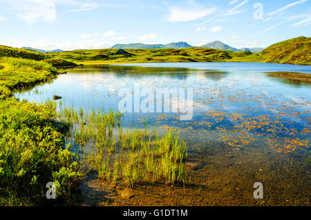 Leuchtfeuer-Tarn auf Blawith Fells suchen zu Dow Crag & Coniston Greis, wahrscheinlich Modell für Forellen Tarn in Arthur Ransomes Swallowdale Stockfoto