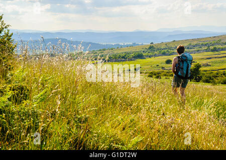 Walker an einem Sommer Abend bei Hutton Dach Klippen Cumbria mit Blick auf Farleton Fell und fernen Fjälls Lakeland Stockfoto