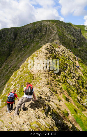 Auf der Suche nach schreitenden entlang in Richtung Lakelandpoeten im Lake District Stockfoto