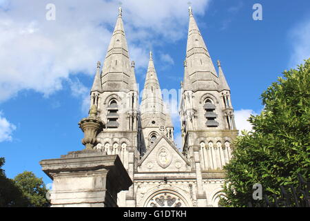 Kathedrale von Saint Fin Barre, Stadt Cork, Irland Stockfoto