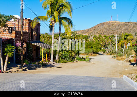 Blick auf einen Backstein Straße endet in einem Feldweg mit einem charmanten Backstein-Haus in Todos Santos, Baja, Mexiko. Stockfoto