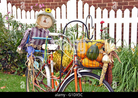 Süß Herbst Vogelscheuche auf einem Fahrrad mit Kürbissen und Mais im Fahrradkorb. Stockfoto