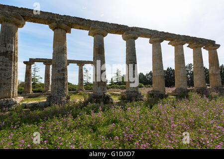 Pfälzer Tabellen, Hera-Heiligtum in Metaponto, Basilikata, Italien Stockfoto