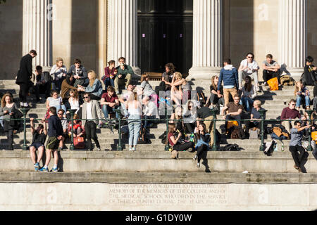 University College London (UCL) Portikus und Quad, Bloomsbury, London England UK Stockfoto